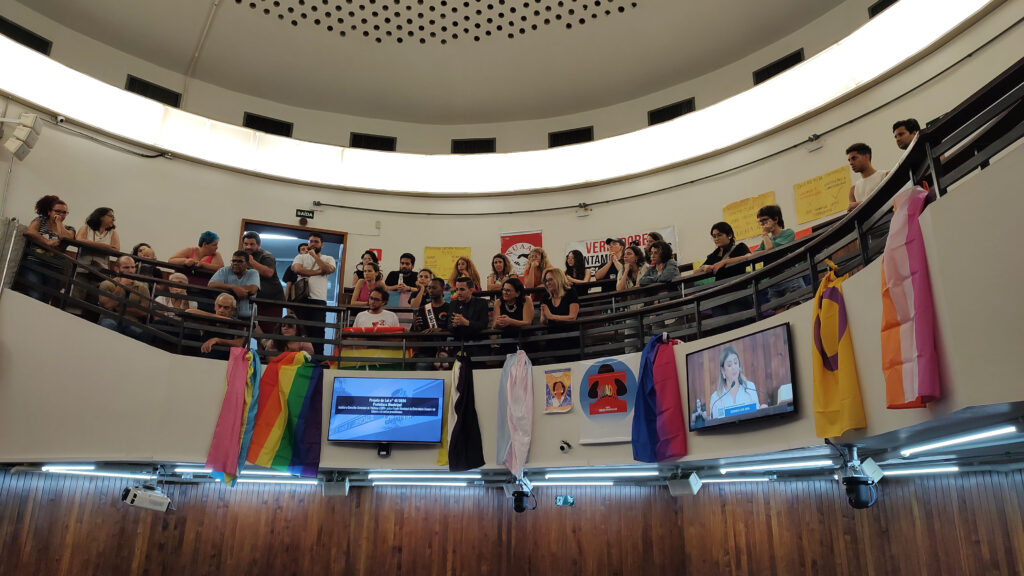 Representantes LGBT+ estiveram na Câmara Municipal, acompanhando a votação - Carlos Teixeira/Agora no Interior