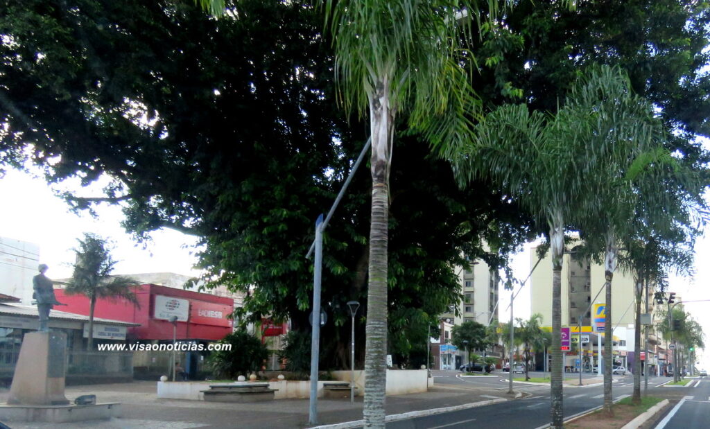 Seringueira localizada na Praça Saturnino de Brito - Foto/Visão Notícias