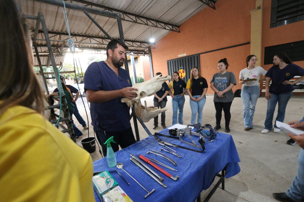 Alunos acompanham aula prática na Unimar- Colab./Ass. de Imprensa