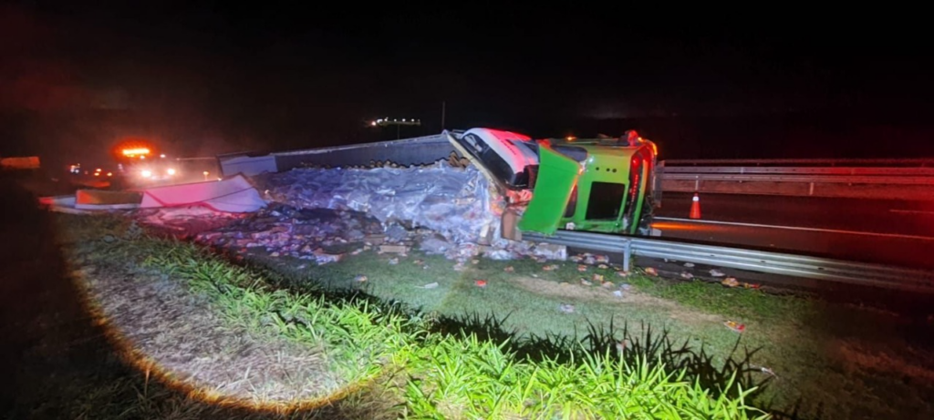 Carga de frango congelado ficou espalhada no acostamento - Foto: Artesp