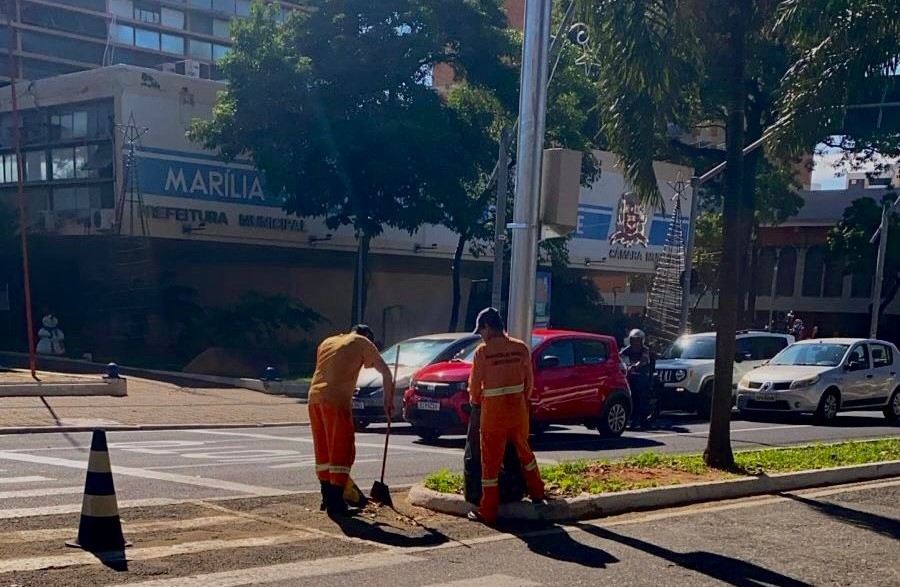 Servidores fazem limpeza do canteiro central de avenida - Colab./Ass. de Imprensa