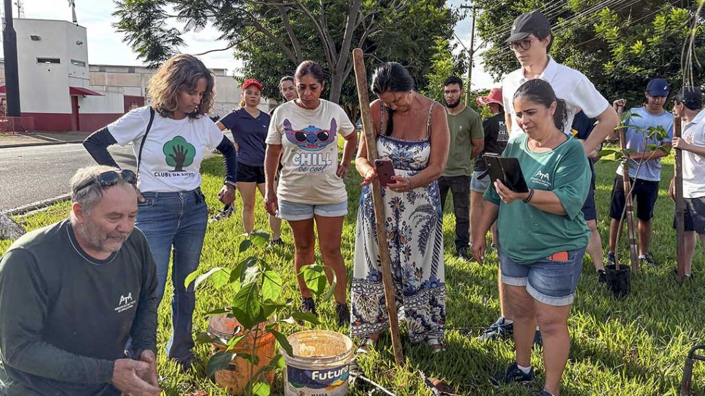 Plantio na Waldemar Alves/ Foto: Colaboração Prefeitura de Araçatuba