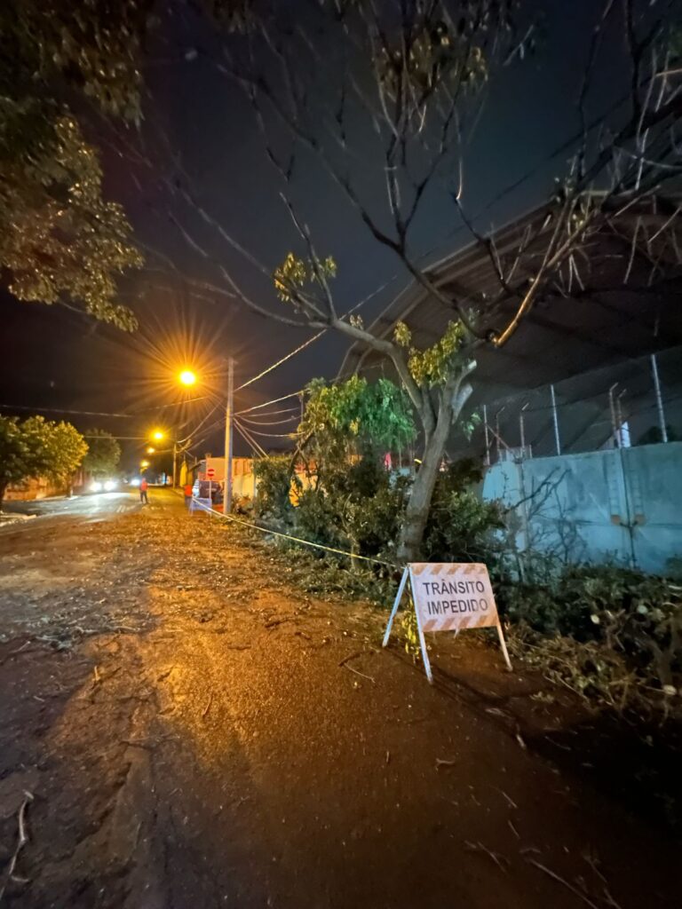 Árvores caídas em Birigui/ Foto: Colaboração Prefeitura de Birigui