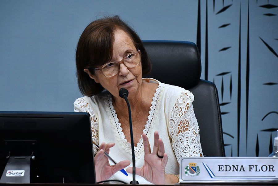 Edna Flor durante a última sessão/ Foto: Colaboração Assessoria de Imprensa