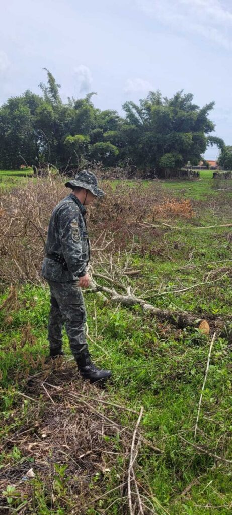 Ação em Gabriel Monteiro/ Foto: Colaboração Polícia Ambiental