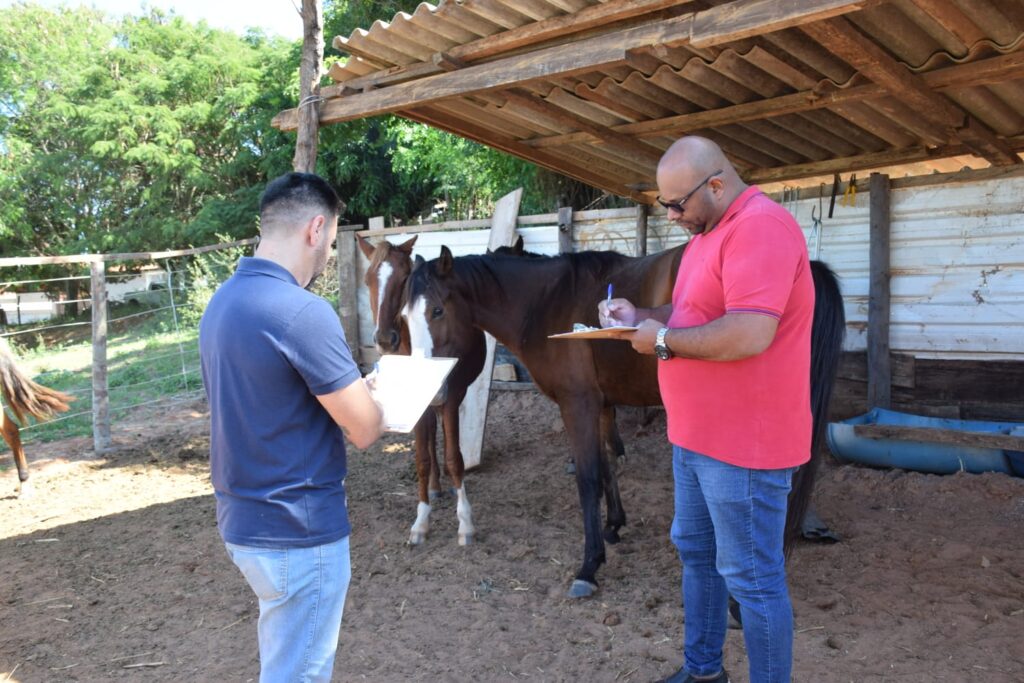 Fiscais multaram proprietários, por deixarem animais soltos - Colab./Ass. de Imprensa