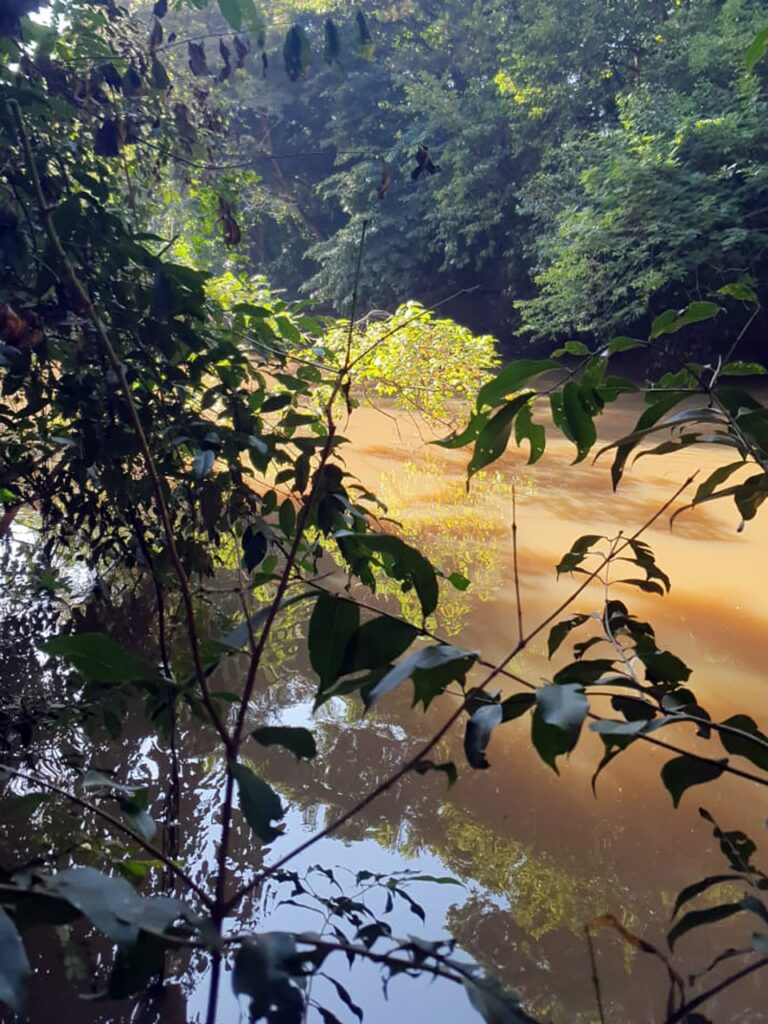 Ribeirão Baguaçu abastece parte de Araçatuba - Colab./Ass. de Imprensa