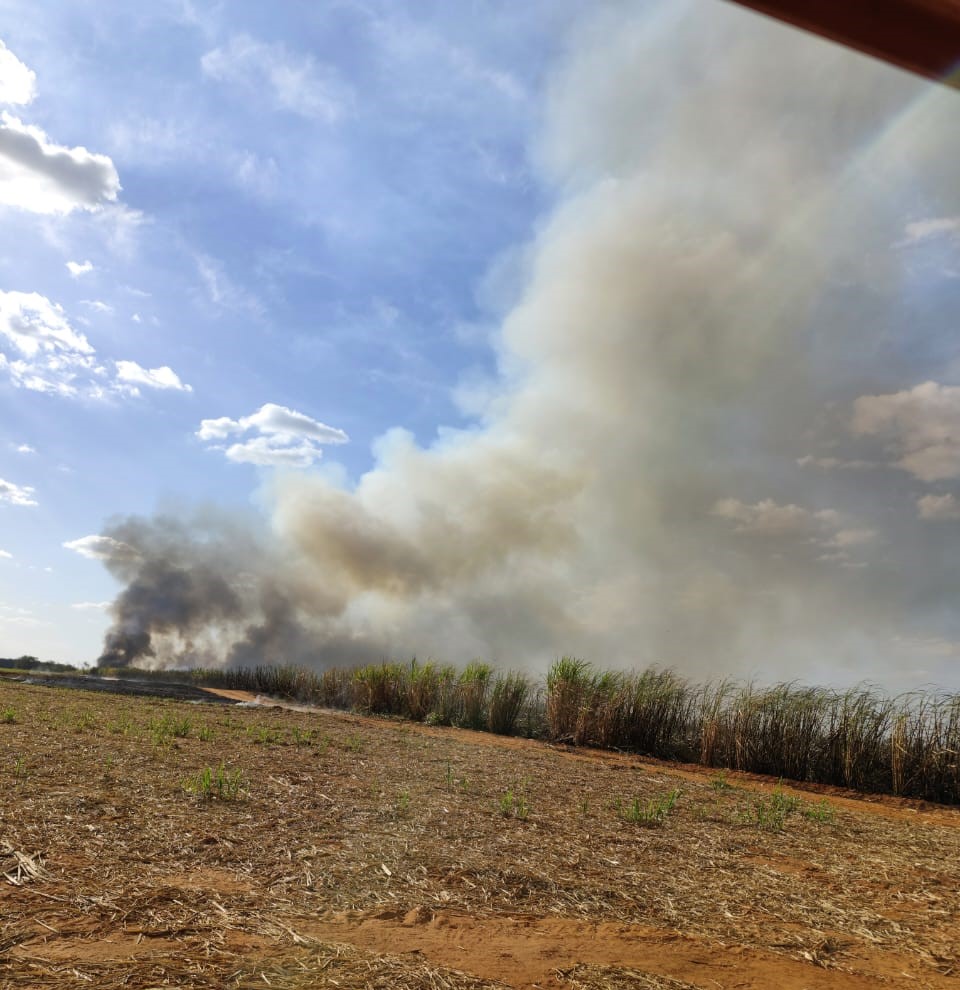 Milhares de consumidores tiveram prejuízo com queimadas - Colab./Ass. de Imprensa