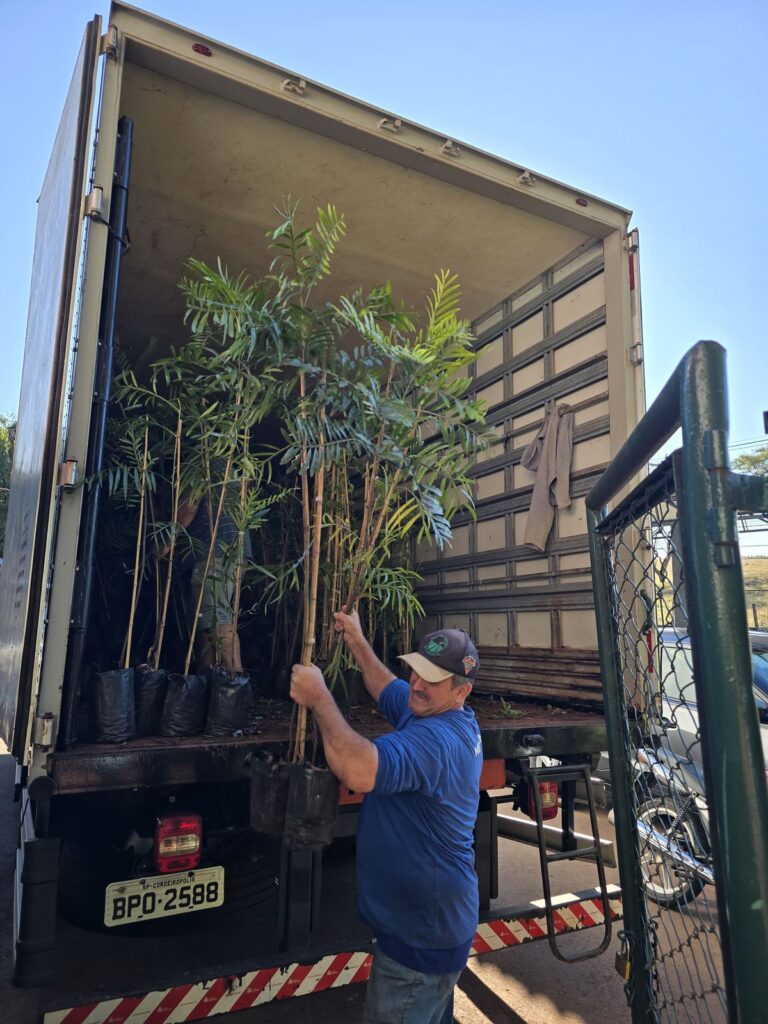 Servidor tira muda de caminhão - Colab./Ass. de Imprensa