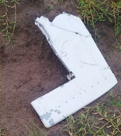 Parte de peça do avião pilotado pelo médico - Reprod./Redes Sociais