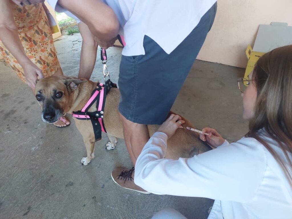 Campanha vai atender por ordem de chegada - Colab./Ass. de Imprensa