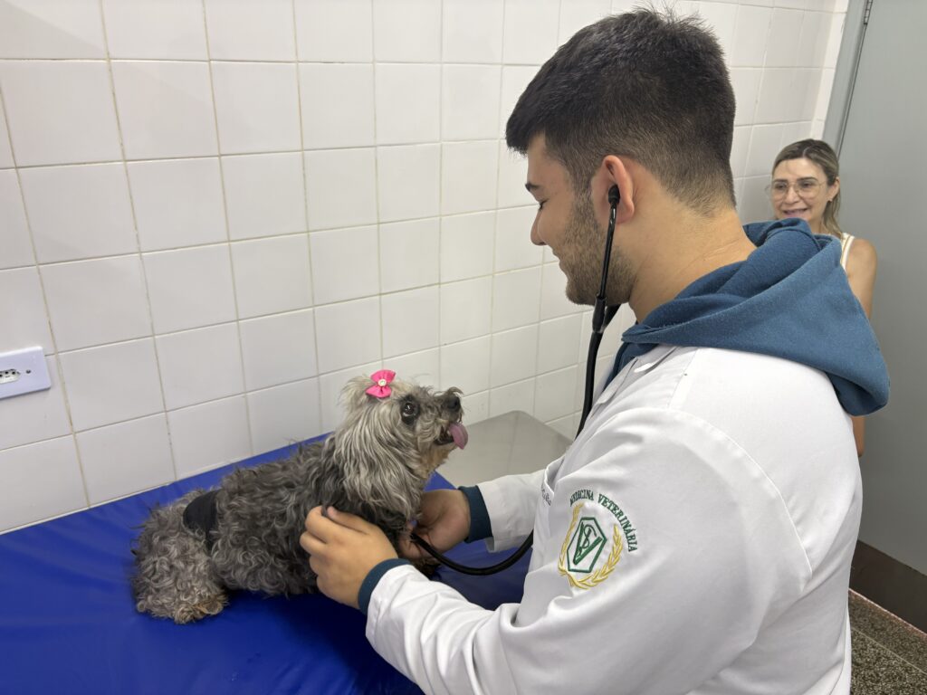 Animalzinho é atendido por médico veterinário - Colab./Ass. de Imprensa
