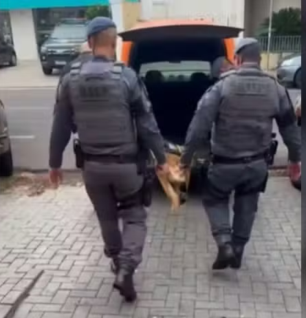 Momento em que Ragnar é levado para sepultamento - Arquivo Pessoal