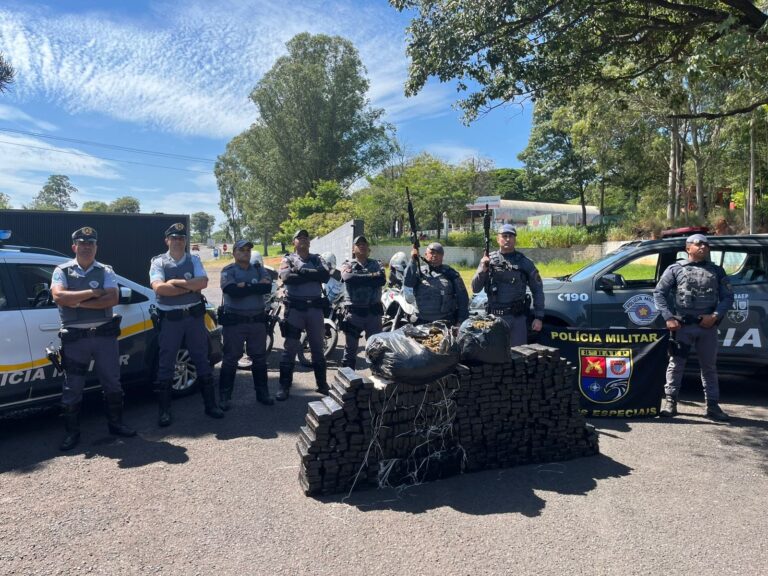 Combate ao tráfico: Quase 400 quilos de maconha apreendidos em Presidente Prudente
