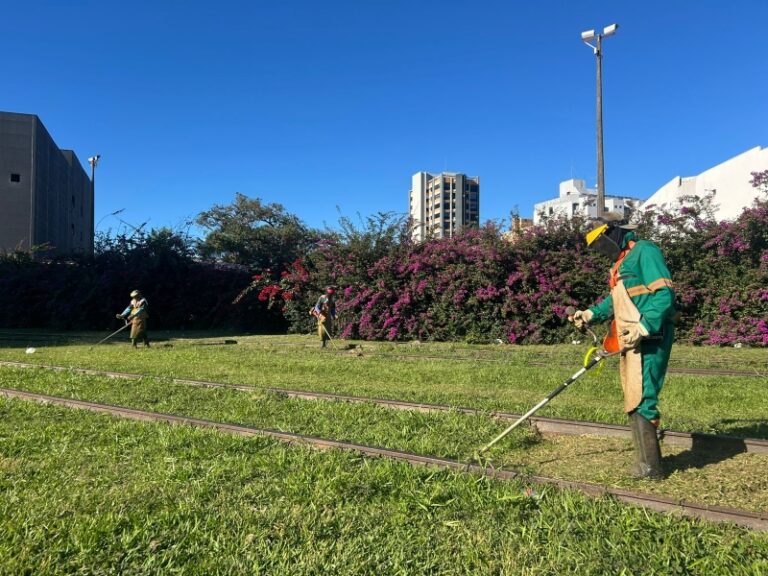Zeladoria urbana em Marília: Prefeitura atua na Avenida Ipiranga por ambiente mais seguro