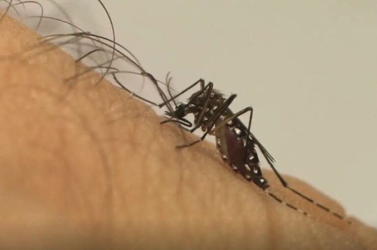 Morte sob investigação em Dracena: idoso é possível vítima de dengue