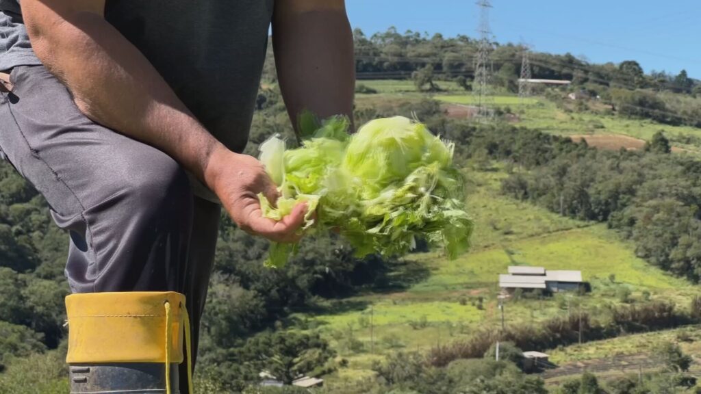 Temporal devastador causa prejuízos milionários na zona rural de Piedade (SP)