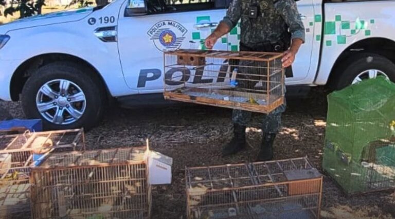 Apreensão de animais silvestres em Presidente Prudente e o combate ao tráfico