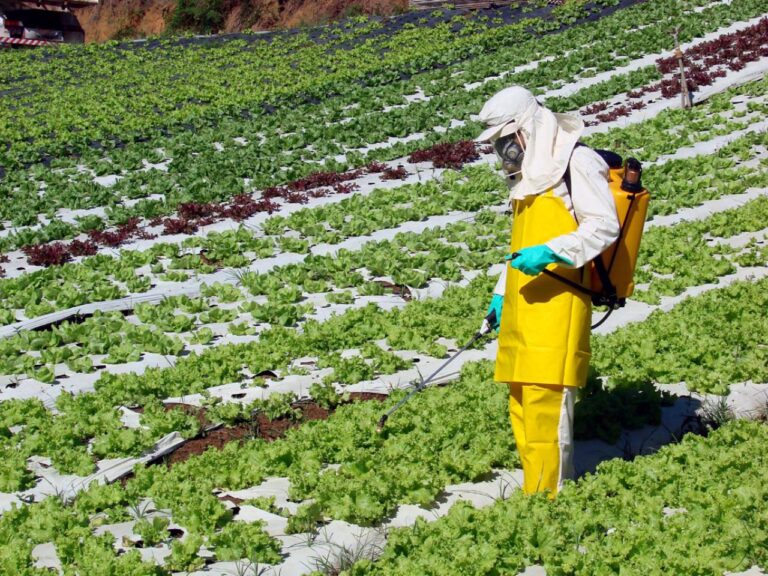 Balança comercial de Marília registra déficit crescente no primeiro semestre de 2026