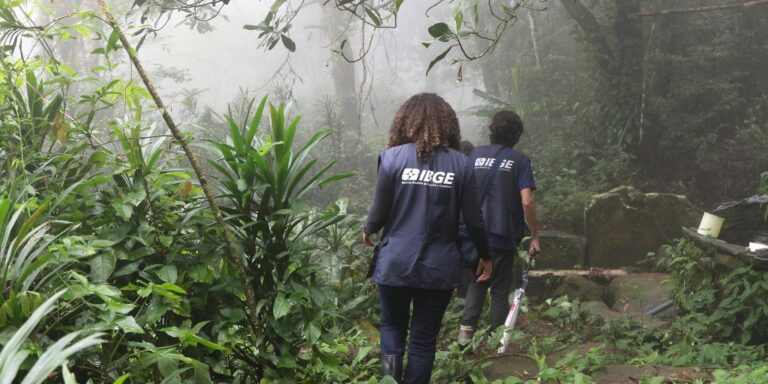 Processo seletivo do IBGE: últimas horas para inscrição no Censo Agropecuário