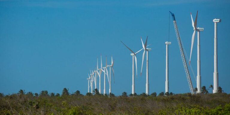 Futuros verdes no Nordeste: mapeando a economia de baixo carbono na região