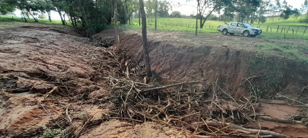 Operação Dia da Árvore intensifica fiscalização contra o desmatamento em São Paulo