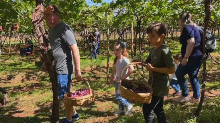 Turismo rural no noroeste paulista: a experiência do campo que encanta visitantes