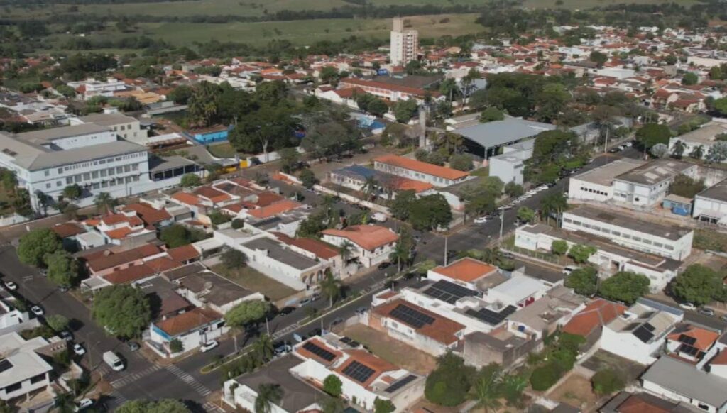 Arborização: combate ao calor extremo nas cidades