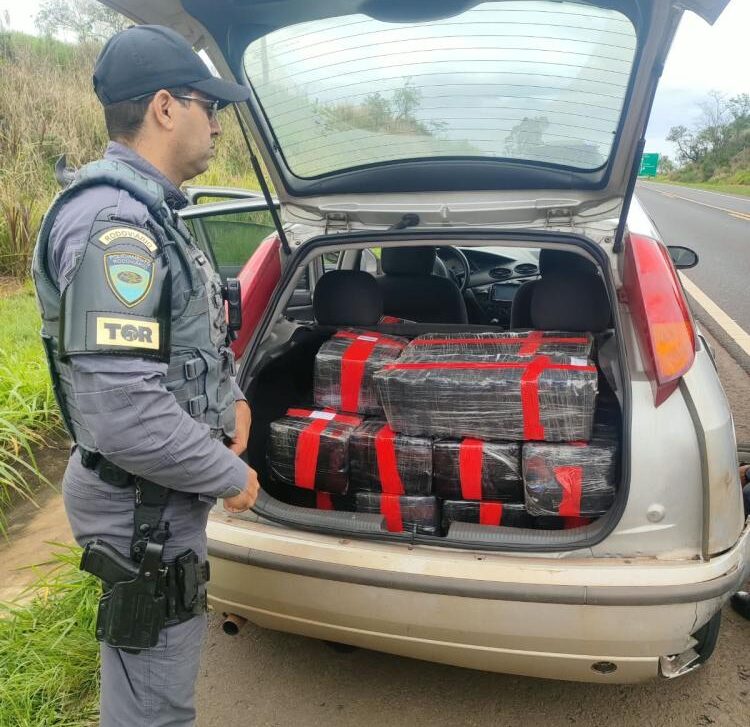 Grande apreensão de maconha em Pirapozinho mobiliza polícia rodoviária